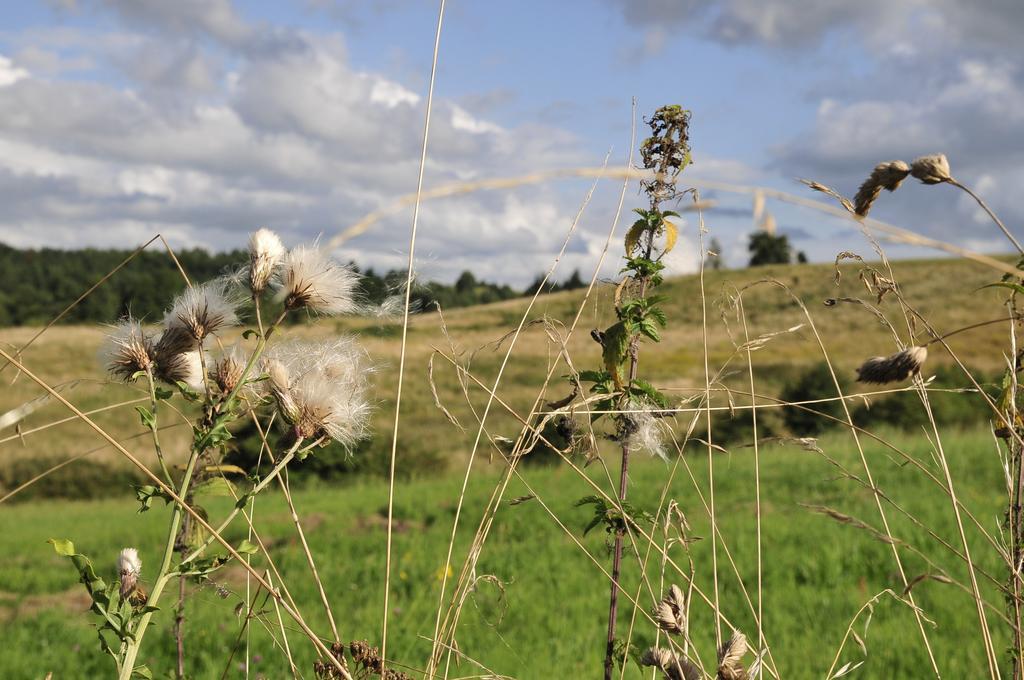 agroturystyka Orzechowe Wzgórze Orzechowo  Exterior foto